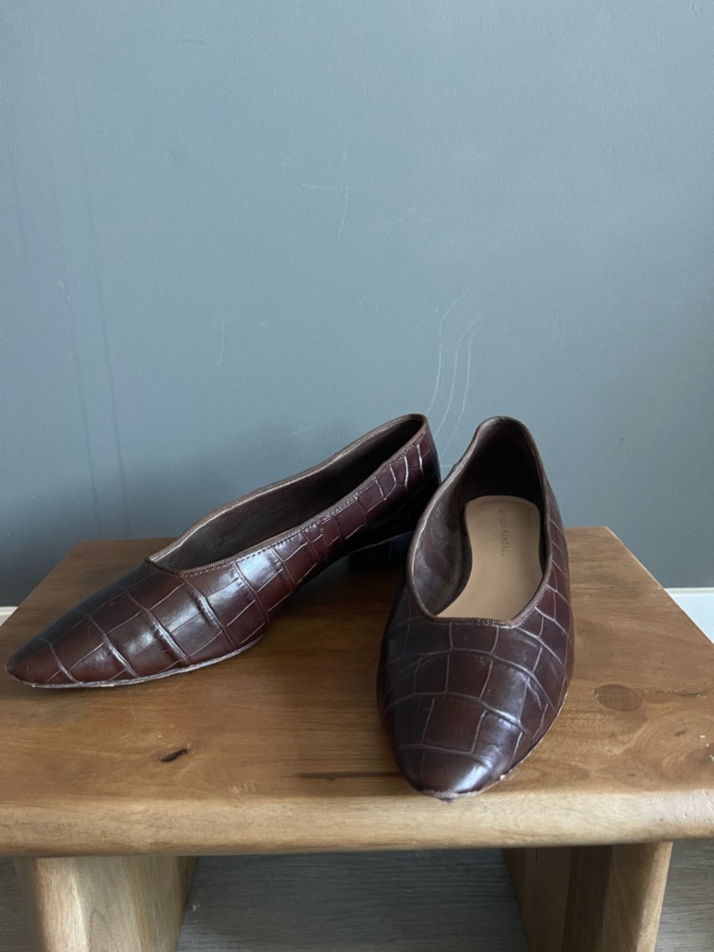 Loeffler Randall Croc Embossed Ballet Flats Brown Preppy Dark Academia Scholar